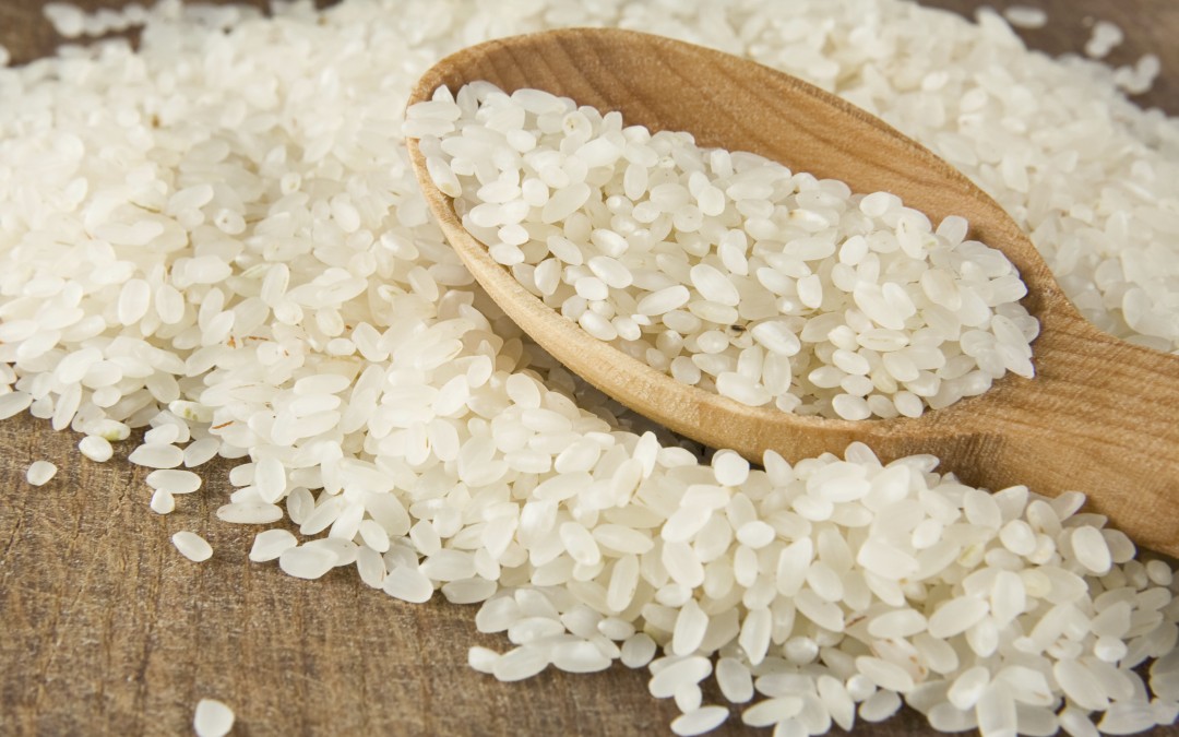 Taller de arroces